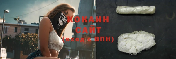 ПСИЛОЦИБИНОВЫЕ ГРИБЫ Инсар