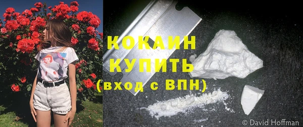 не бодяженный Иннополис