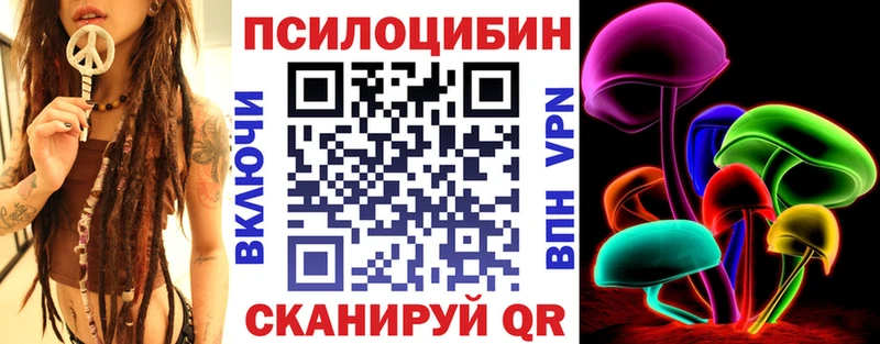 Псилоцибиновые грибы Psilocybe  Краснозаводск 